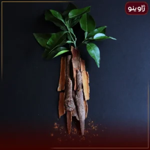 چوب دارچین گل سرخی