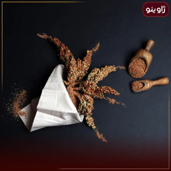 سماق خوشه ای