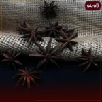 بادیان خطایی یا ستاره ای