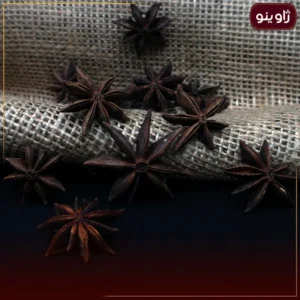 بادیان خطایی یا ستاره ای