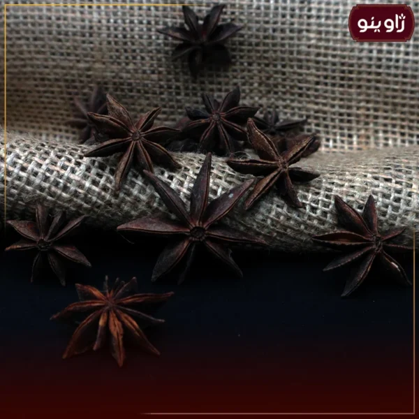 بادیان خطایی یا ستاره ای