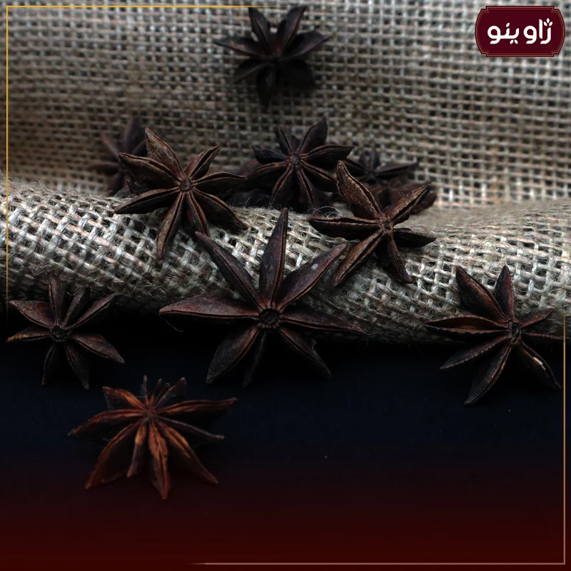 بادیان خطایی یا ستاره ای