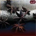 بادیان خطایی یا ستاره ای