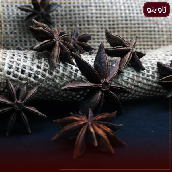 بادیان خطایی یا ستاره ای