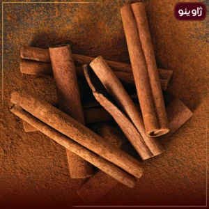 دارچین سریلانکا