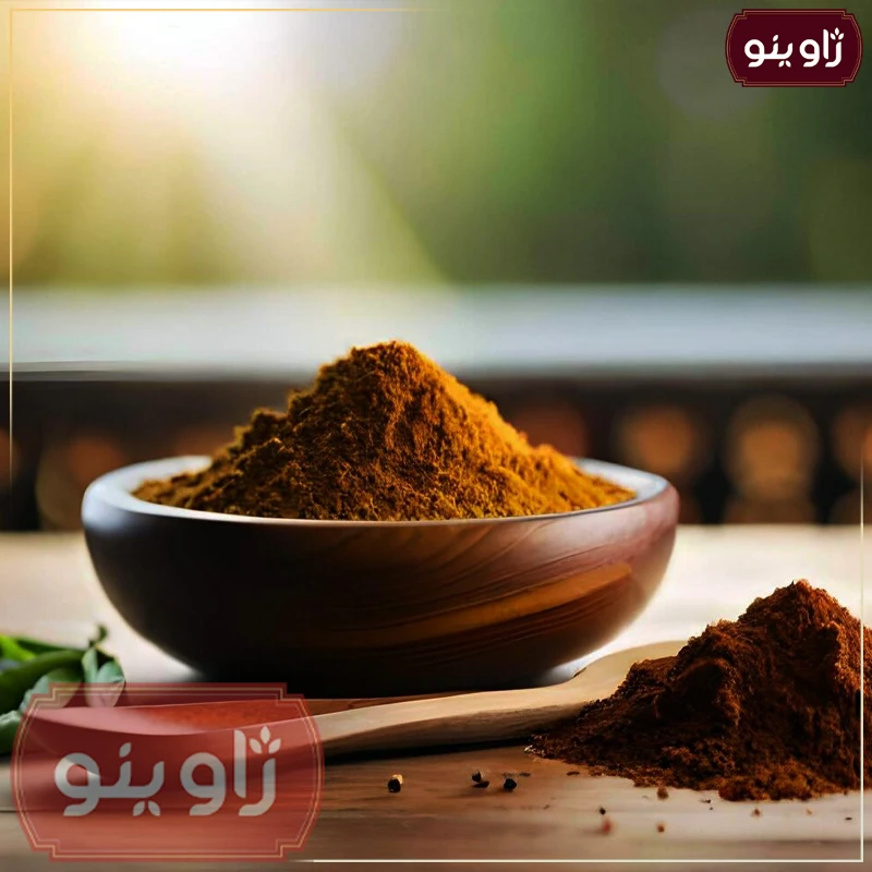 کاری؛ طعم سفر به هند