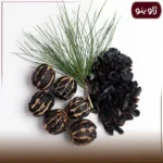 لیمو عمانی ببری