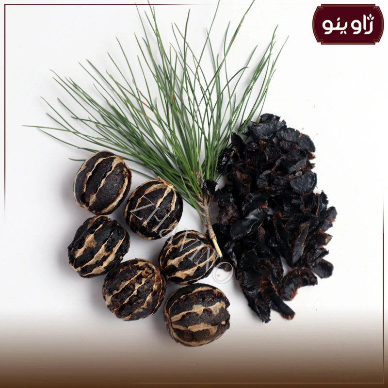 لیمو عمانی ببری