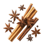 بادیان خطایی یا ستاره ای - Image 3