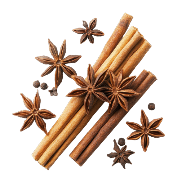 بادیان خطایی یا ستاره ای - Image 3