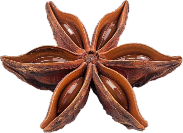 بادیان خطایی یا ستاره ای