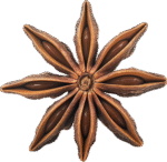 بادیان ستاره ای