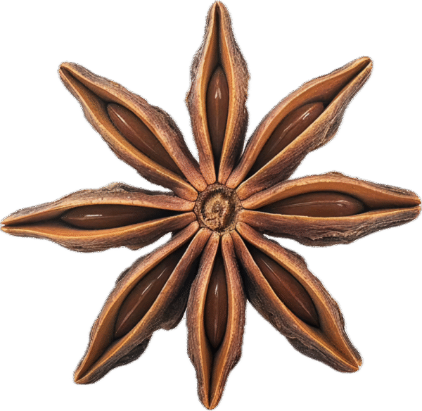 بادیان ستاره ای