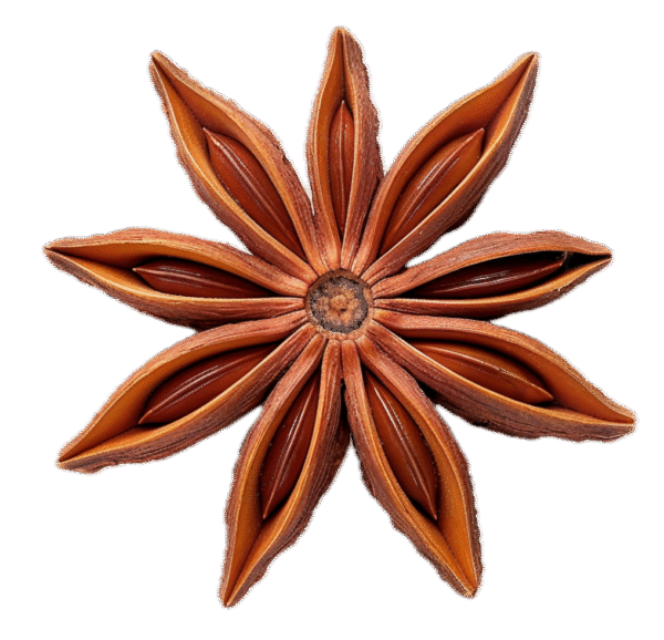 بادیان خطایی یا ستاره ای