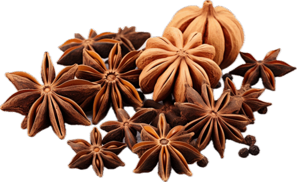 بادیان خطایی یا ستاره ای