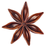 بادیان ستاره ای