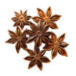 بادیان خطایی یا ستاره ای