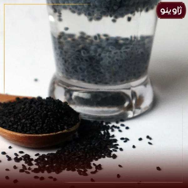 تخم شربتی درشت تخم شربتی درشت