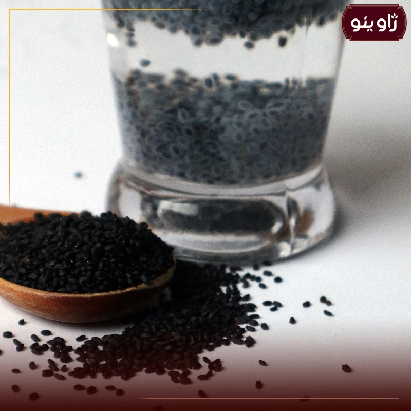 تخم شربتی درشت