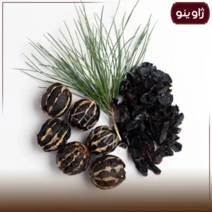 پرک لیمو عمانی