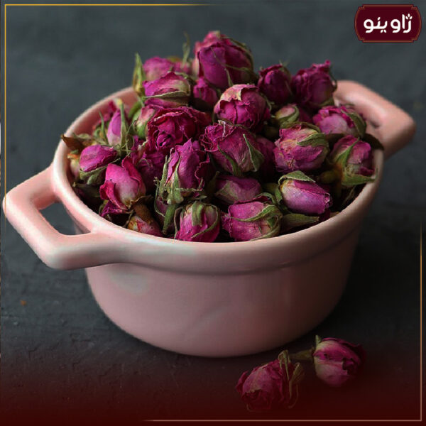 غنچه گل محمدی - Image 3