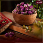 غنچه گل محمدی