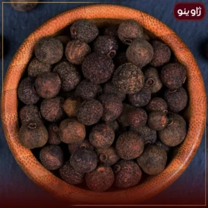 ال اسپایس قلم