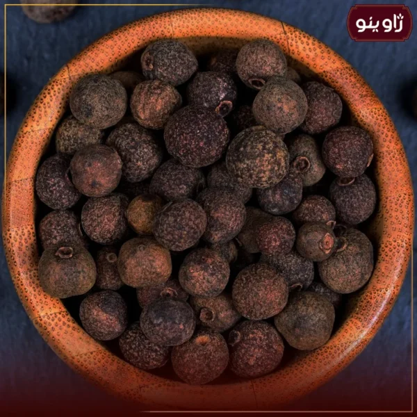 ال اسپایس قلم