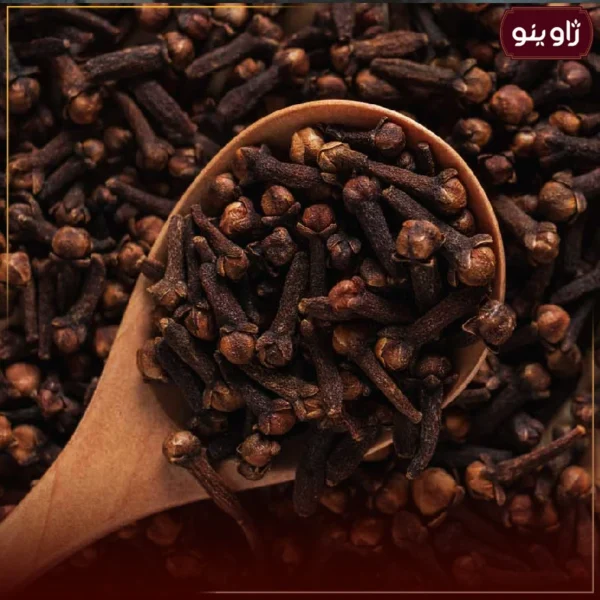 دانه میخک دانه میخک