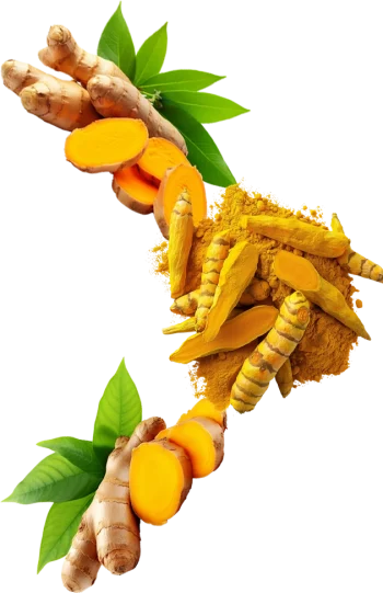 84 84